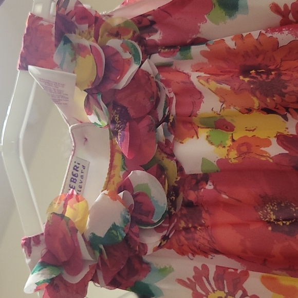 Beautiful, red Blueberi Blvd floral dress size 4 - Picture 2 of 3